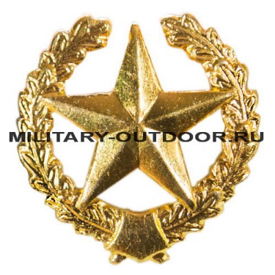 Знак-эмблема на петлицу Сухопутные войска СССР золотистый 07030106